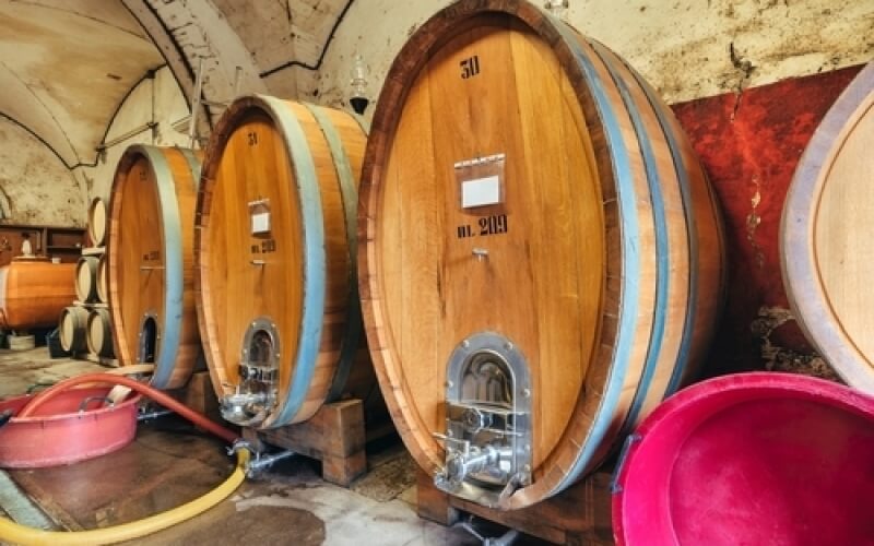 gestione acque reflue cantina vitivinicola