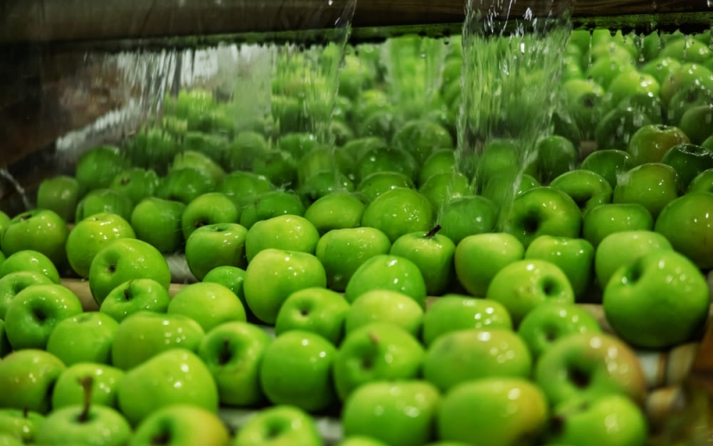 Trattamento delle acque nell'industria alimentare